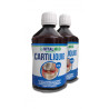 Cartiliquid, cartílago líquido